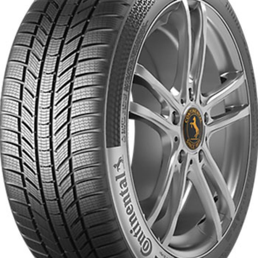 WinterContact TS 870 P 225/55-19 V