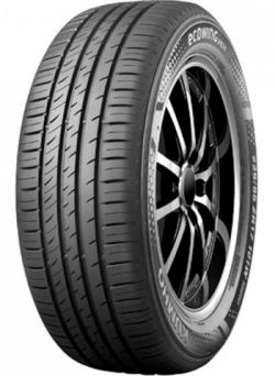 EcoWing ES31 205/55-17 W